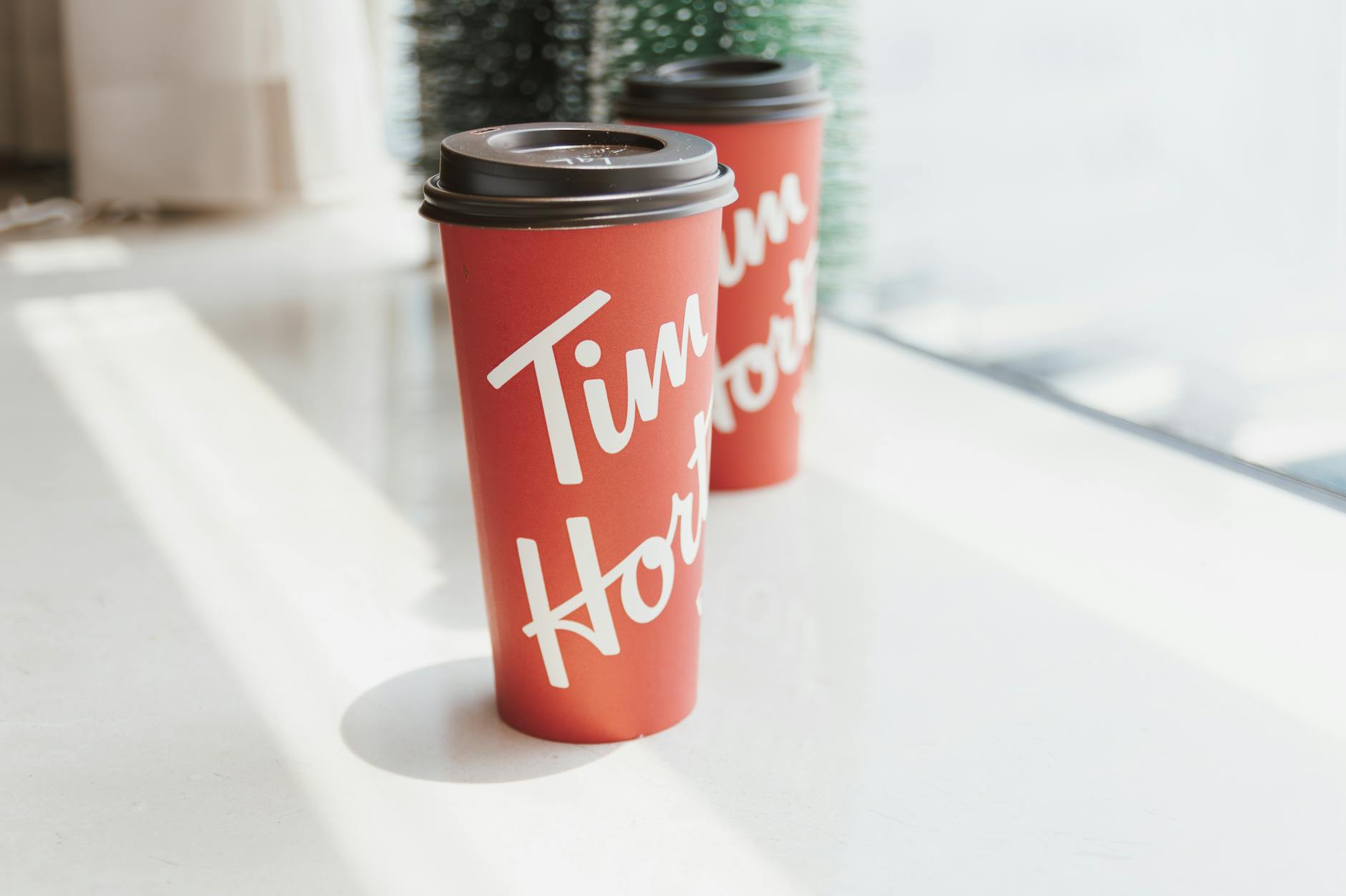 Suzozanedaindustriesco